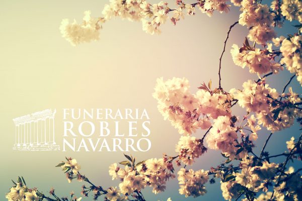 Funeraria Robles Navarro